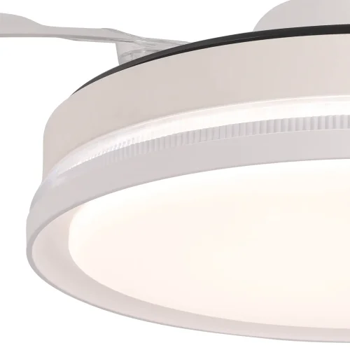 Width Asps Plegables LED 35W 2700-6000K White Lorelei