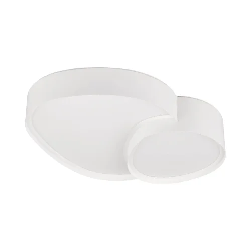 PLAFONNIER LED 21W 2700-6500K BLANC RUBY