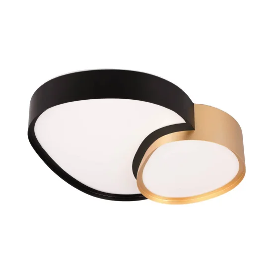 PLAFONNIER LED 21W 2700-6500K NOIR-OR RUBY 2