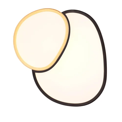 PLAFONNIER LED 21W 2700-6500K NOIR-OR RUBY