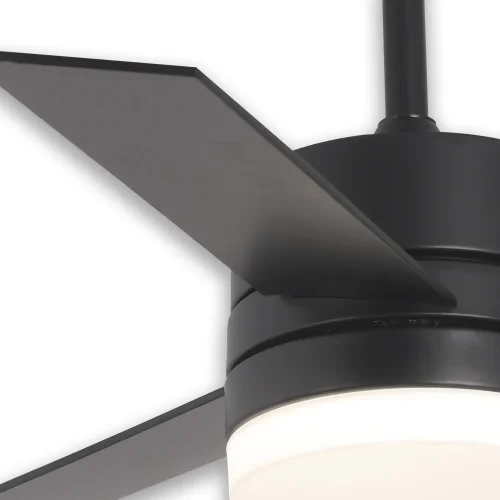 Ventilateur de toit avec lumière Led 17W Black Reulable New Lorenzo 日本語