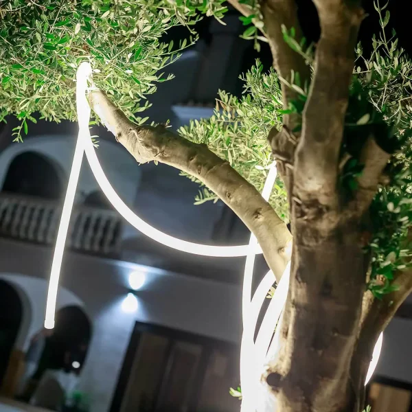 Guirlande d'Extérieur IP65 3M Neo| Lúzete