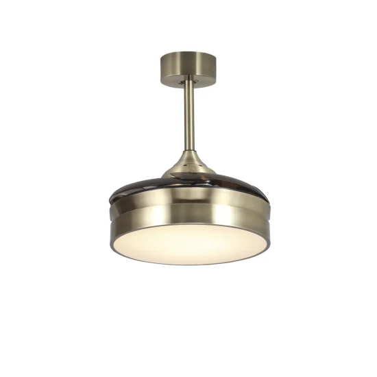 VENTILATEUR DE PLAFOND LED 24W RÉGLABLE CUIR 4 PALES PLIABLES MOTEUR DC PALMA 2