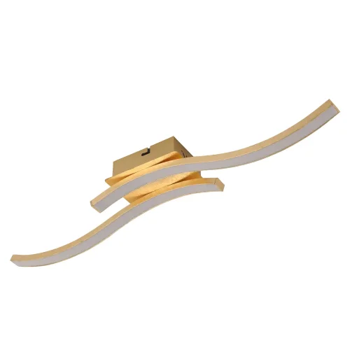 PLAFONNIER LED 14 W 4000K FEUILLE D'OR EVANDER