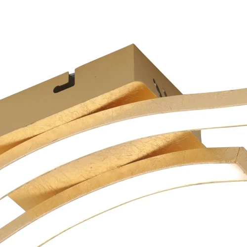 PLAFONNIER LED 14 W 4000K FEUILLE D'OR EVANDER