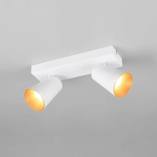 SPOT DE PLAFOND/MUR 2 LUMIÈRES MÉTAL BLANC GU10 SILVANO