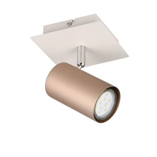 SPOT DE PLAFOND/MUR MÉTAL COFFEE/GRIS GU10 GRAFTON SPOT DE PLAFOND/MUR MÉTAL COFFEE/GRIS GU10 GRAFTON