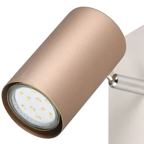 SPOT DE PLAFOND/MUR MÉTAL COFFEE/GRIS GU10 GRAFTON SPOT DE PLAFOND/MUR MÉTAL COFFEE/GRIS GU10 GRAFTON