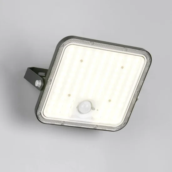 APPLIQUE EXTÉRIEUR SOLAIRE 18W 2600K CAPTEUR BASCULANT IP65 ACORUS 2