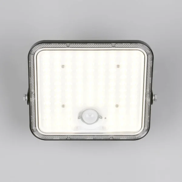 APPLIQUE EXTÉRIEUR SOLAIRE 18W 2600K CAPTEUR BASCULANT IP65 ACORUS APPLIQUE EXTÉRIEUR SOLAIRE 18W 2600K CAPTEUR BASCULANT IP65 ACORUS