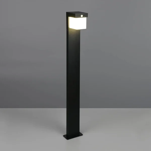 BALISE SOLAIRE EXTÉRIEURE 5,5W 4000K CAPTEUR IP44 100CM CORIANDER BALISE SOLAIRE EXTÉRIEURE 5,5W 4000K CAPTEUR IP44 100CM CORIANDER