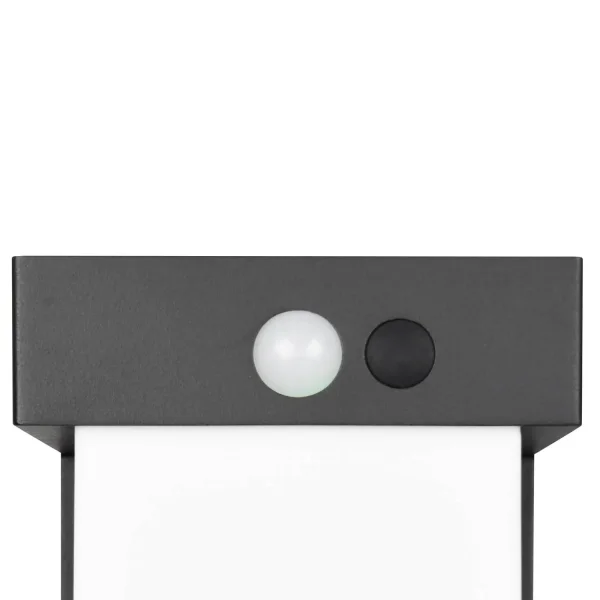 BALISE EXTÉRIEURE SOLAIRE 5,5W 4000K CAPTEUR IP44 50 CM CORIANDER BALISE EXTÉRIEURE SOLAIRE 5,5W 4000K CAPTEUR IP44 50 CM CORIANDER