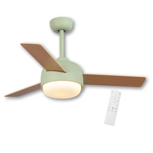 VENTILATEUR DE PLAFOND AVEC LUMIÈRE 24 W MOTEUR DC 3 PALES VERT/BOIS RIVERDALE VENTILATEUR DE PLAFOND AVEC LUMIÈRE 24 W MOTEUR DC 3 PALES VERT/BOIS RIVERDALE