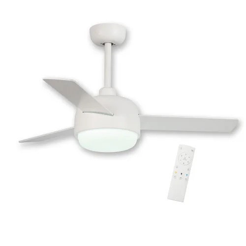 VENTILATEUR DE PLAFOND LED 24 W RÉGLABLE BLANC RIVERDALE