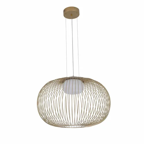 SUSPENSION LED 15W 3000K-4000K-6000K Ø60CM DORÉ ARVEN