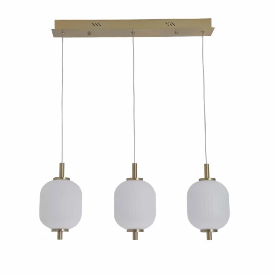 SUSPENSION LED 3 LUMIÈRES 30W 3000-6000K ANEKA 2