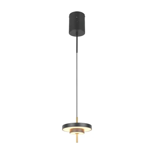 SUSPENSION LED 10W RÉGLABLE 2300-3000-4000K NOIR OR ELIX