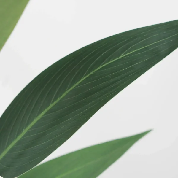 PLANTE ARTIFICIELLE AVE DU PARADIS 210 CM