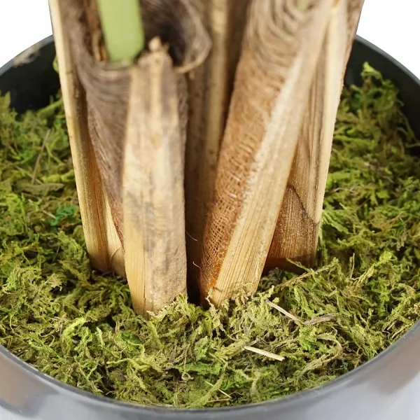 PLANTE ARTIFICIELLE MONSTERA 170 CM