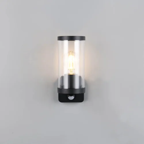 APPLIQUE EXTÉRIEURE E27 AVEC CAPTEUR ALUMINIUM NOIR IP44 DANDELION