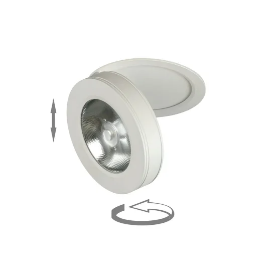SPOT ENCASTRABLE ORIENTABLE 10W 3000K BLANC 2