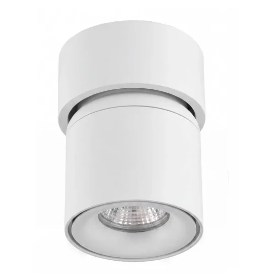 SPOT EN SAILLIE ORIENTABLE Ø9,5CM BLANC GU10 2