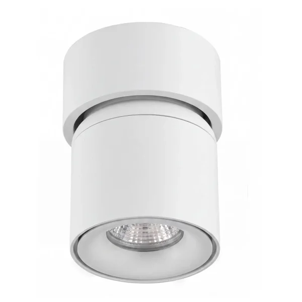 SPOT EN SAILLIE ORIENTABLE Ø9,5CM BLANC GU10