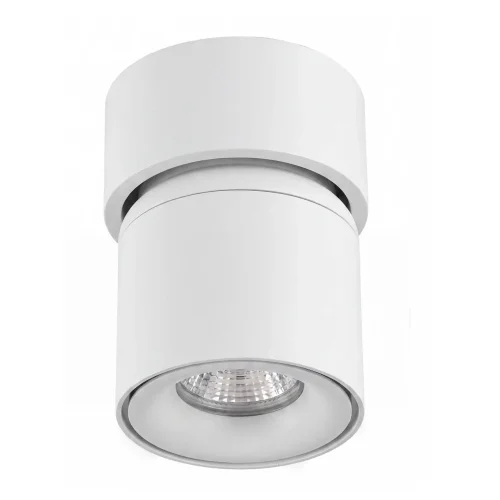 SPOT EN SAILLIE ORIENTABLE Ø9,5CM BLANC GU10