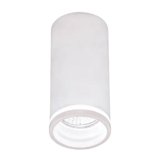 SPOT EN SAILLIE AVEC DIFFUSEUR Ø6CM GU10 BLANC