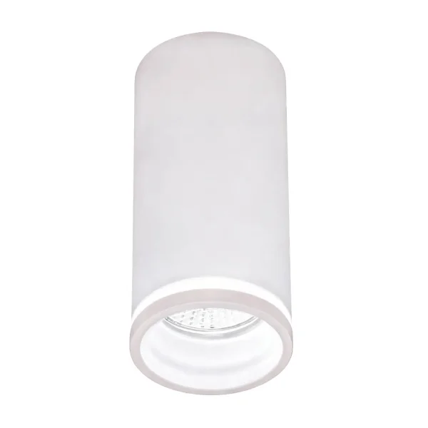 SPOT EN SAILLIE AVEC DIFFUSEUR Ø6CM GU10 BLANC