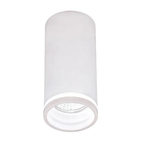 SPOT EN SAILLIE AVEC DIFFUSEUR Ø6CM GU10 BLANC
