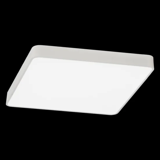 50W 4000K CARRÉ CONDUIT PLAFOND DE SURFACE PAMELA 2