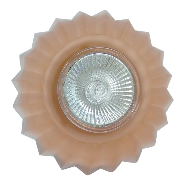 OEIL DE BŒUF D’ÉTOILE ROSE