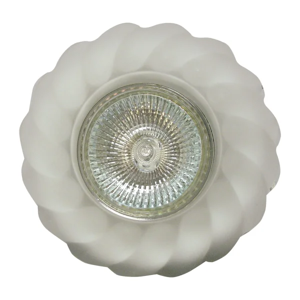 ONDES OCULAIRES DE BOEUF FIXE BLANC