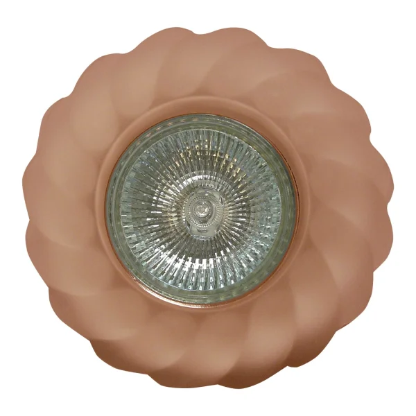 ONDES OCULAIRES DE BOEUF FIXE ROSE