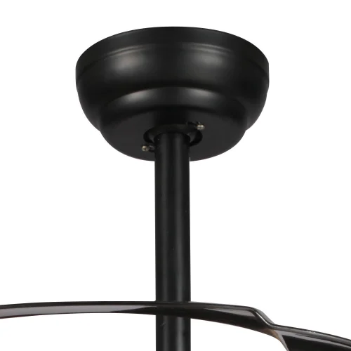 BRUN LED FORREST PLAFOND VENTILATEUR